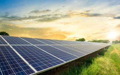 Comparing Saatvik Solar Panels with Other Brands